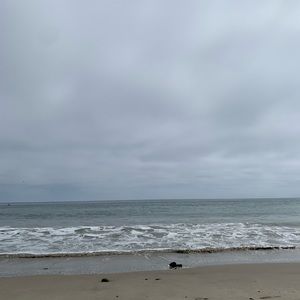 Meet your Posher, Brandy j